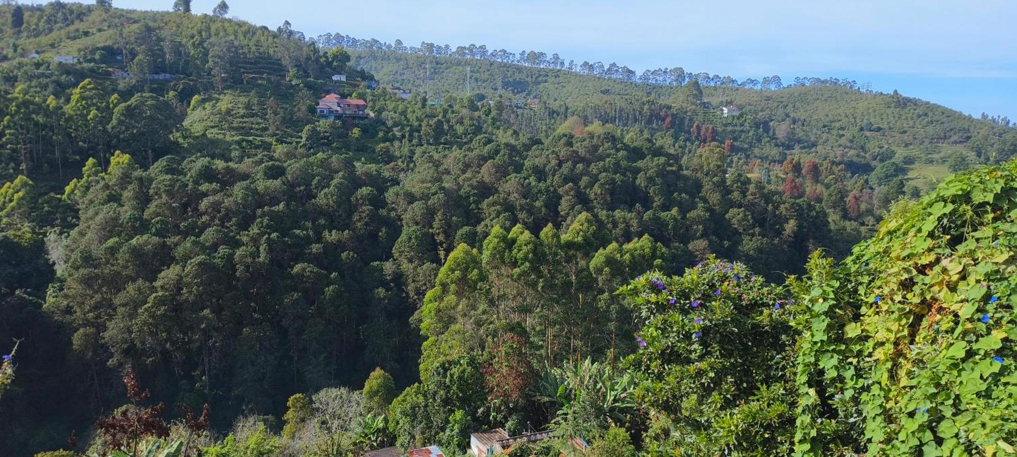 Highland Heaven Hotel Kodaikanal Kültér fotó
